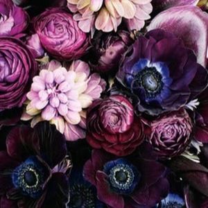 Meet your Posher, Mady